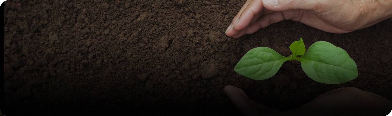 Produse sustenabile pentru igiena dentară Produse sustenabile pentru igiena dentară