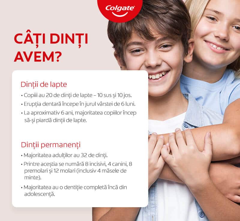 Ile mamy zębów? – infografika